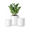 Planteer Pots 3-Pack White Ceramic Planters with Drainage Holes Set